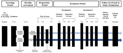 Social anxiety and MDMA-assisted therapy investigation: a novel clinical trial protocol